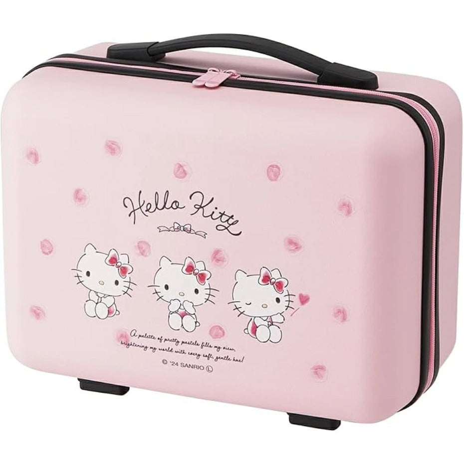 Hard carry-on case with mesh pocket -Character Varies